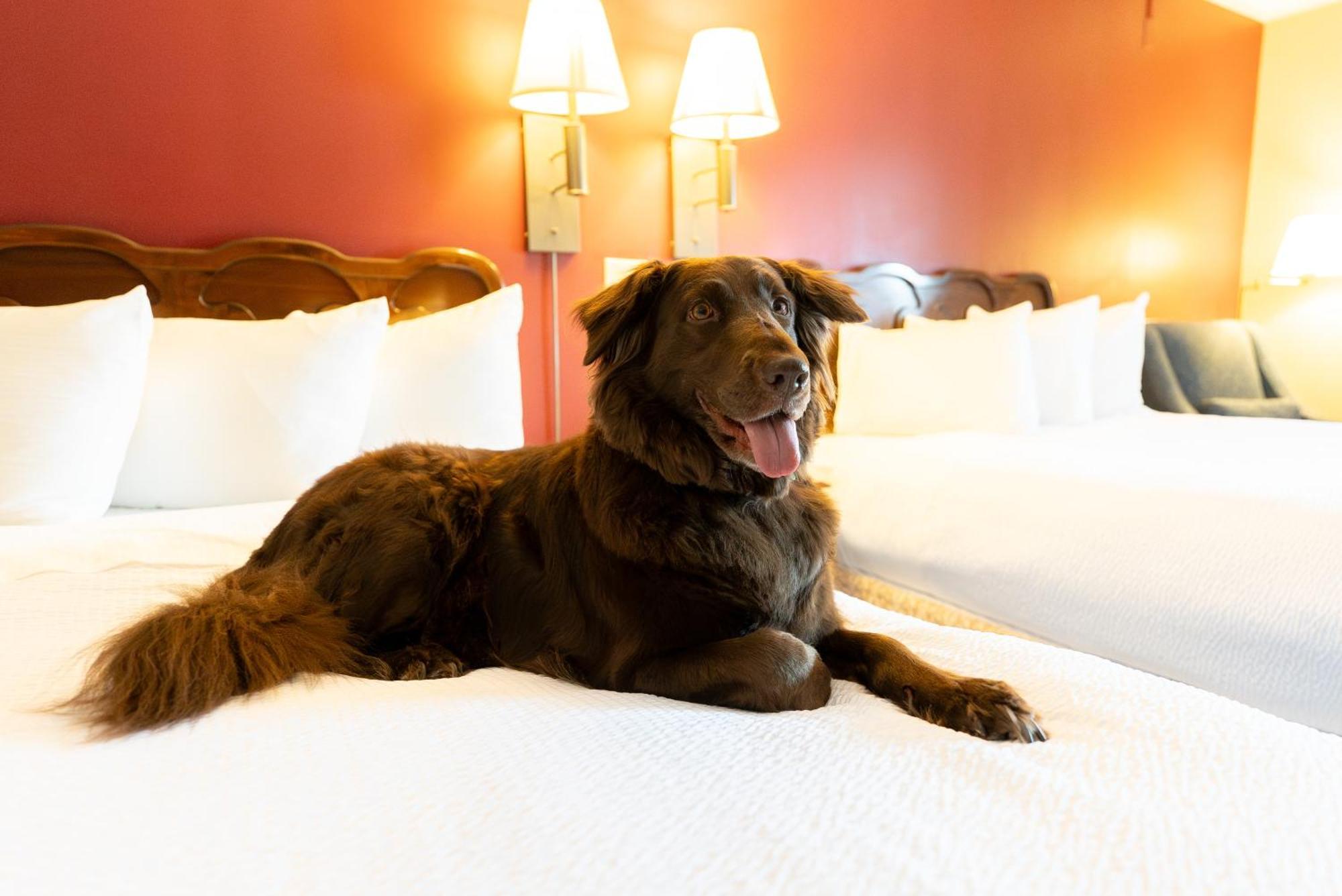 Fireside Inn & Suites Gilford Zewnętrze zdjęcie